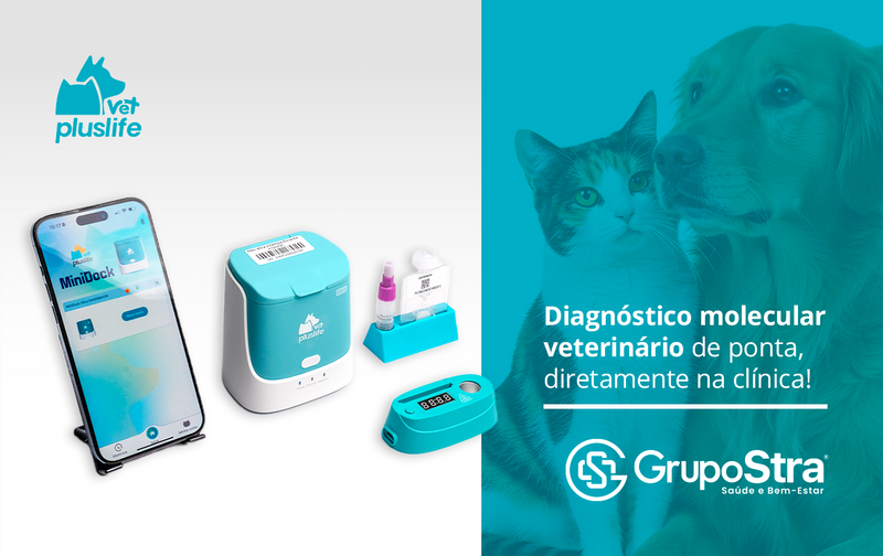 Diagnóstico molecular veterinário, diretamente na clínica